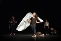 Pardubice, ZŠ Benešovo náměstí, Benešáčci, Jak se stalo, že vrána je černá, CP Dětská scéna Svitavy 2013