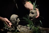 Choceň, Hana Voříšková a Matěj Pospíšil, O zlaté rybce, KP AUDIMAFOR Hradec Králové 2012