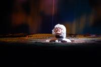 Ústí n. L., Mladá scéna, Ze života hmyzu, KP Děčínská brána 2019