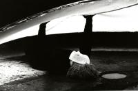 Praha, Alternativa Híší, Pavučina, příští vlna/next wave 1996