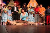 Pelhřimov, Rieger, Zvonokosy, 2011