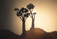 Chrudim, LCH 2021, Sem. B, Světlo a stín