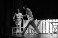 Děčín, DS Karel Čapek, Alan Ayckbourn: Aby bylo jasno, Pavel Panenka, 2008