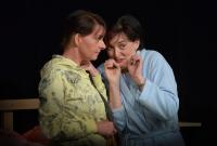 Kraslice, Trosky, Královny, Sokolovská čurda 2014