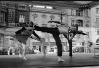 Hradec Králové, Dospělá emrya, Zastavení zakázáno, parkování povoleno, WP 2001