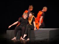 Kolín 2009, Hradec Králové, NEPAHK, Pavučina a berušky