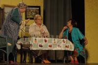 Žlutice, Žlutičan, Můj krásný svět, NP seniorského divadla Česká Třebová 2016