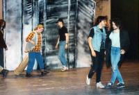 Krnov, Pesimistické divadlo Gasehaha, Něco velikýho, CP Divadelní Třebíč 1995