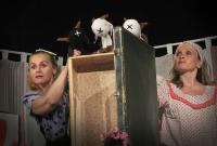 Homole, Studio ŽAS, Kozí pohádka, CP Loutkářská Chrudim 2017