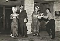 Plzeň, Medika, Kratochvílná historie, 1958