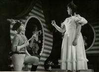 Znojmo, Rotunda, Každý něco pro vlast, 1963