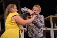 Plzeň, Ragueneau, Úsměv Dafné, KP Popad, 2025