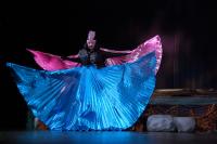 Ústí n. L., Mladá scéna, Ze života hmyzu, KP Děčínská brána 2019