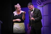 Dobřichovice, Dobřichovická divadelní společnost, Brouk v hlavě, CP KDP Vysoké nad Jizerou 2017