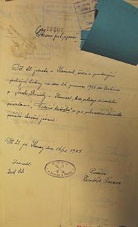 Hamry, DTJ, Falešná kočička, 1925