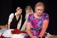 Litoměřice, Li-Di, Odpověď na všechno, Rádobyfest 2023