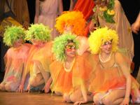 Desná, Vojan -  Mladá haluz, dle Shakespeara Puko-viny, Elfi, 2011