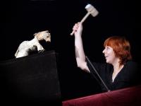 Turnov, Čmukaři, Zvířátka za to nemůžou, LCH 2007