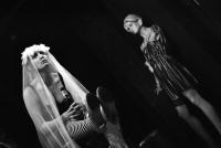 Srbsko, Lola, Teatro Levo, Bukowski v baru, 2010