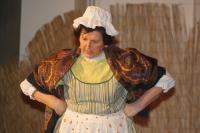 Horažďovice, Tyjátr, Jak čert vyletěl z kůže, 2013