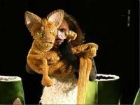 Prah 6, Loutky bez hranic, Poklad baby Mračenice