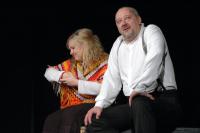 Mladá Boleslav, Divadýlko na dlani, Tam na své pouti pozdravujte zemi, CP Popelka Rakovník 2013