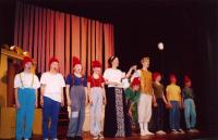 Rousínov, D.A.V.A., Sněhurka a 7a1 trpaslík