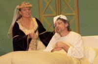 Rakousko, Vídeň, Vlastenecká Omladina, Zdravý nemocný, 2009