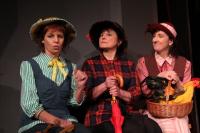 Pelhřimov, Rieger, Zvonokosy, 2011