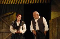 Hronov, DS Jiráskova divadla, Vojnarka, CP Jiráskův Hronov 2016