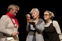 Divadlo V Roztocké, Jilemnice, John Patrick: Podivná paní Savageová, 2013