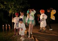 Chelčice, Chelčické štěstí, Večer svatého Patrika, 2008