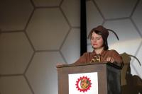 Praha, Ztracená existence, Vandaska, CP Šrámkův Písek 2011