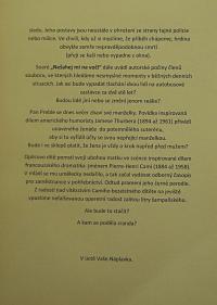 Lysá nad Labem, výstava DIVADLO JE PODIVUHODNÁ VĚC..., výstavní panel, 2018