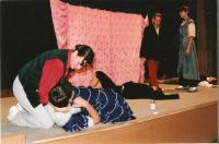 Velké Opatovice,Modráci, Komedie