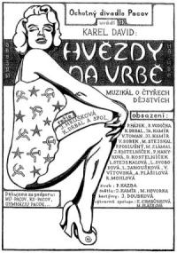 Pacov, Ochotný divadlo, Hvězdy na vrbě, plakát, 2001