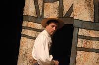 Richard Kašpar, Veselé paničky windsorské, 2007