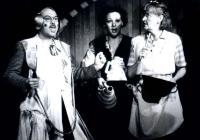 Ořechov, Ořechovské divadlo, CVOKSTORY, CP Divadelní Třebíč 2001