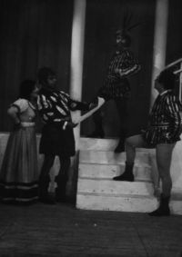 Bělá p. B., ZK Stavostroj, W. Shakespeare: Večer tříkrálový