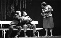 Červený Kostelec,  SDO, Tři na lavičce, 1979