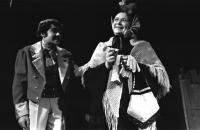 Vejprnice, DS Havlíček Osvětové besedy, Ženitba, 1981