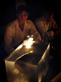 Náchod , J.S.T.E. Artyžok a Dred, Pygmaliom - Svatba - Kar, 2008 Popis: