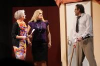 Boskovice, Ochotnické divadlo, Nájemníci pana Swana