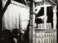 Hradec Králové, Východočeské loutkové divadlo Drak, Petruška ženichem, 1973