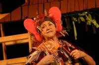 Jihlava, NaKop Tyjátr,O Smolíčkovi,2010