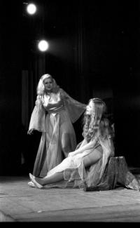 Kolín, Malé divadlo, Medvěd a víla, 1975