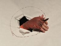 Sudoměřice u Bechyně, Josef Brůček, Příběh, 2011