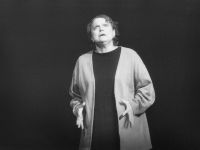 Děčín, Karel Čapek, Vrahova matka, CP Jiráskův Hronov 2002