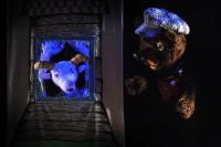 Mladá Boleslav, DDM, Kašpárek, Povídám, povídám pohádku, CP Loutkářská Chrudim 2015