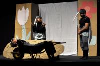 Opava, Štěci, Komáři se ženili, KP Mumraj! Hodonín 2025